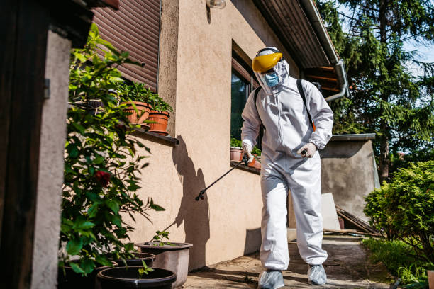 Best Pest Inspection Near Me  in Millbrae, CA