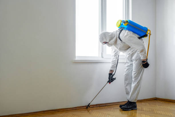Best Wasp Removal Services  in Millbrae, CA