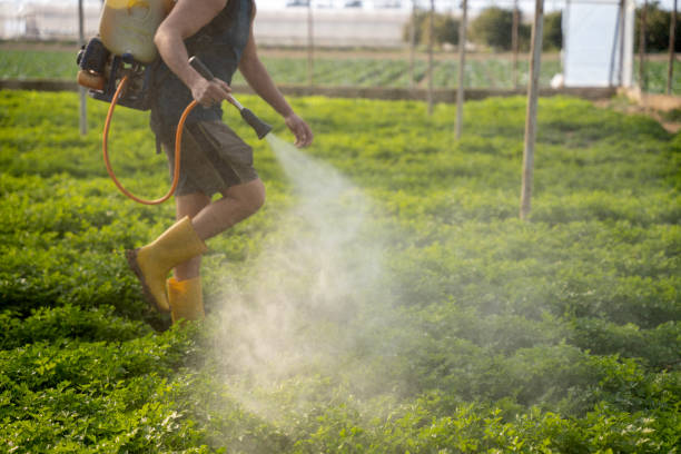 Best Local Pest Control Services  in Millbrae, CA