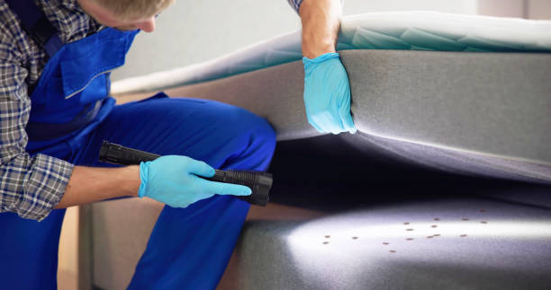 Best Rat Extermination Near Me  in Millbrae, CA
