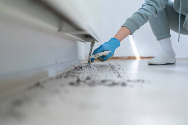 Pest Prevention Services in Millbrae, CA